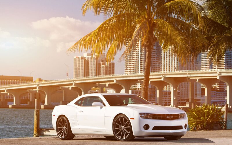White Camaro Car — Serene, Sunset