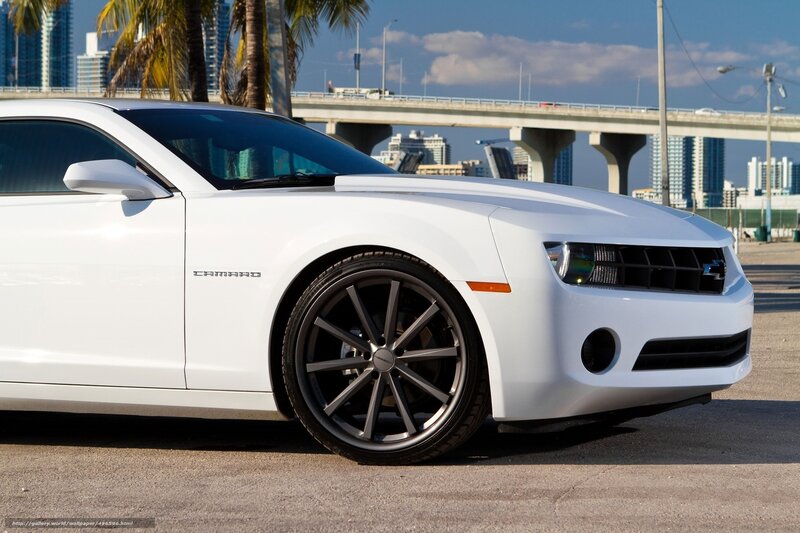 White Camaro Car — Sunny