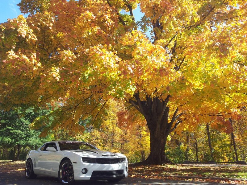 White Camaro Car — Yellow