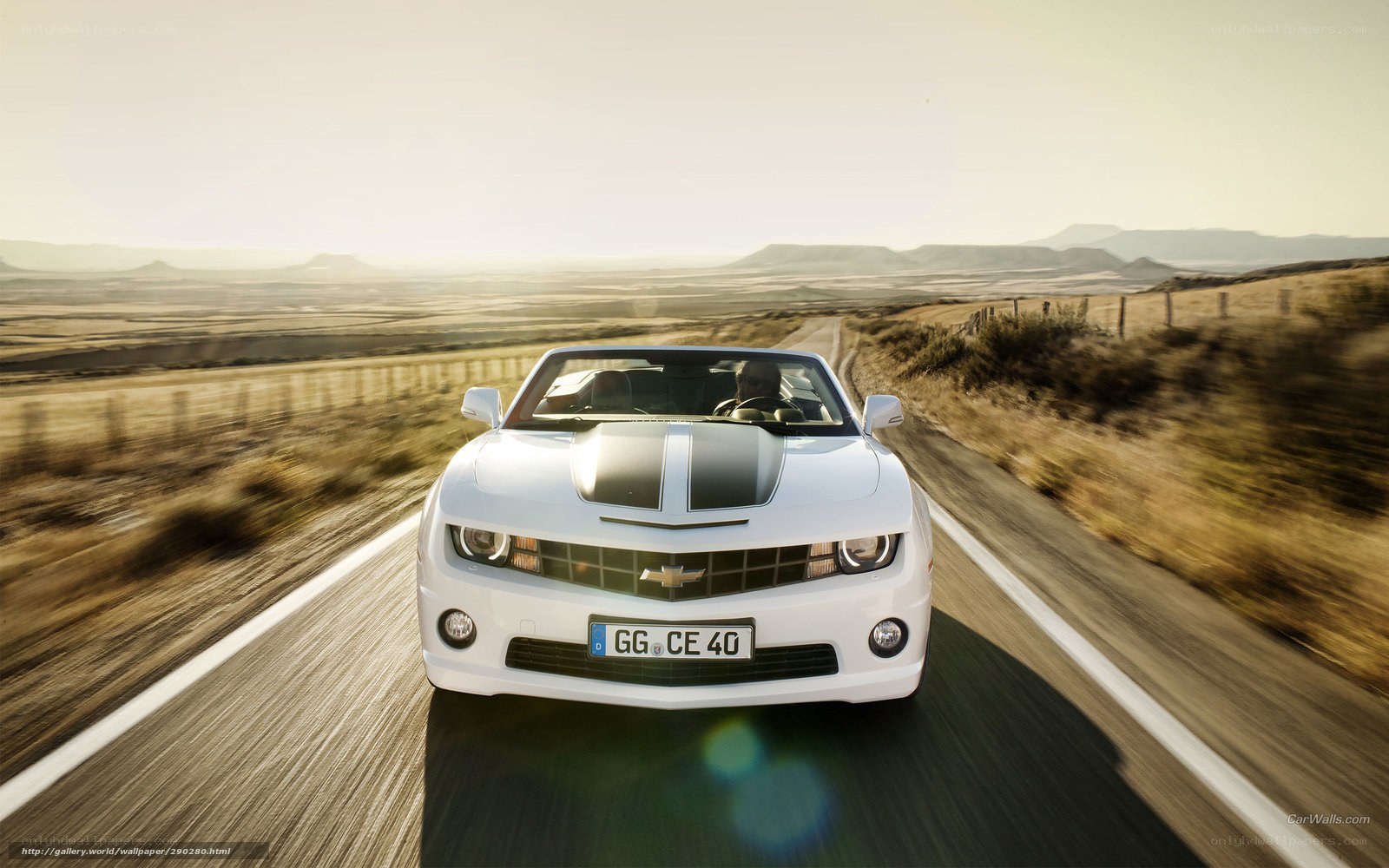 White Camaro convertible on road
