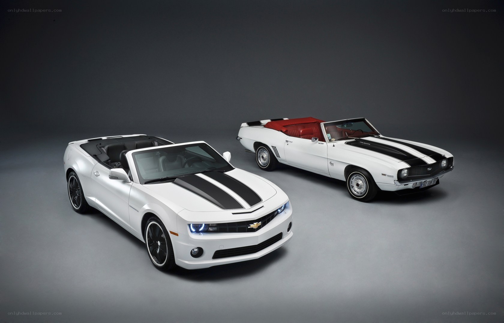 White Camaro convertibles