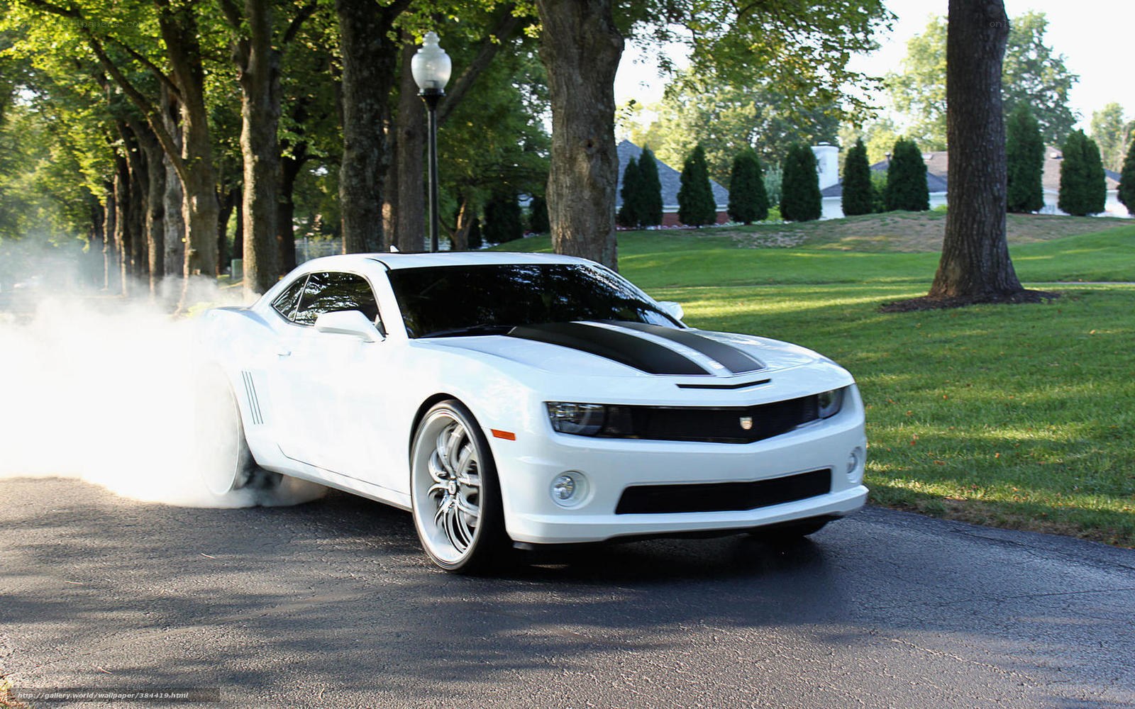 white camaro doing burnout