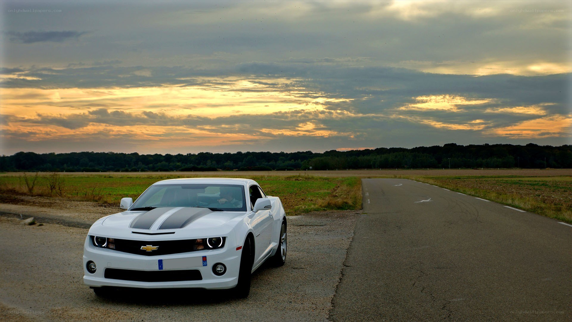 White Camaro on a country road