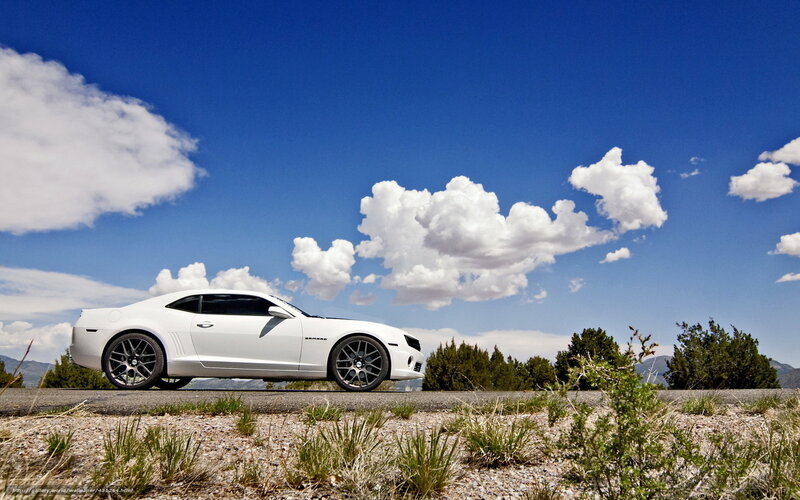 White Camaro on a scenic road