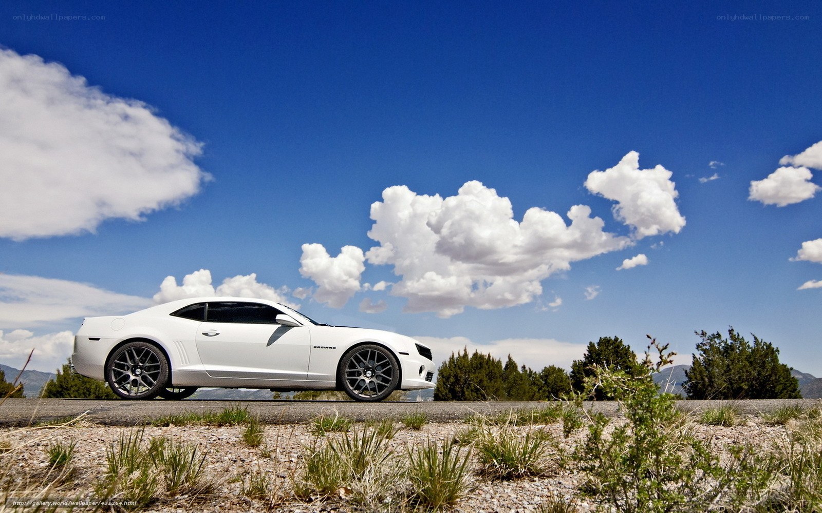 White Camaro on a scenic road