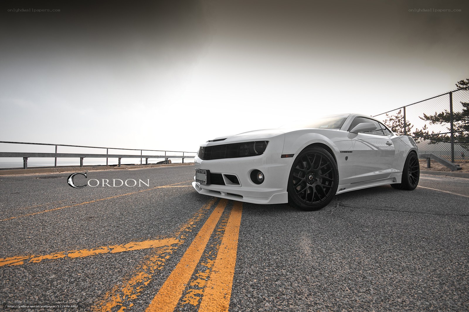 White Camaro on coastal road