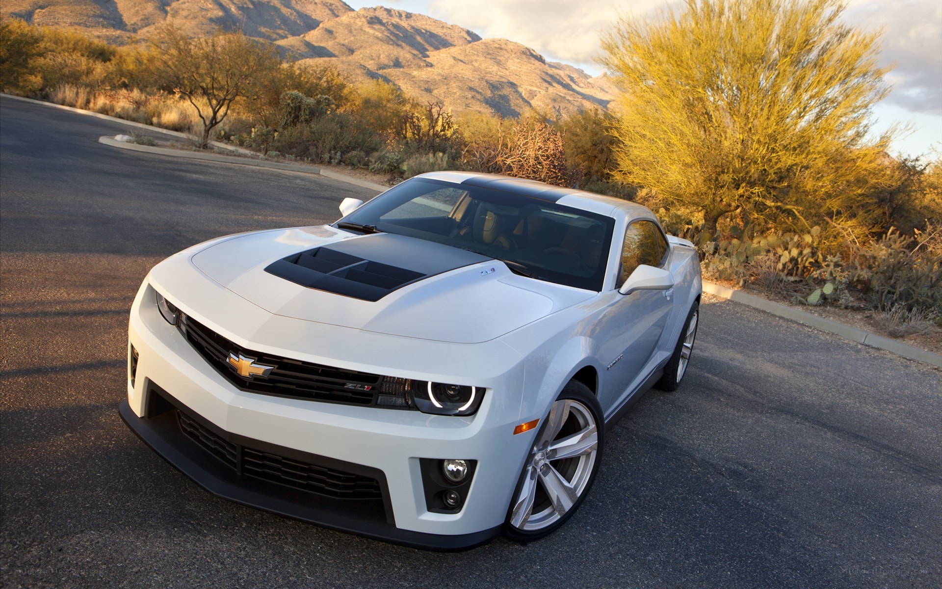 White Camaro on desert road