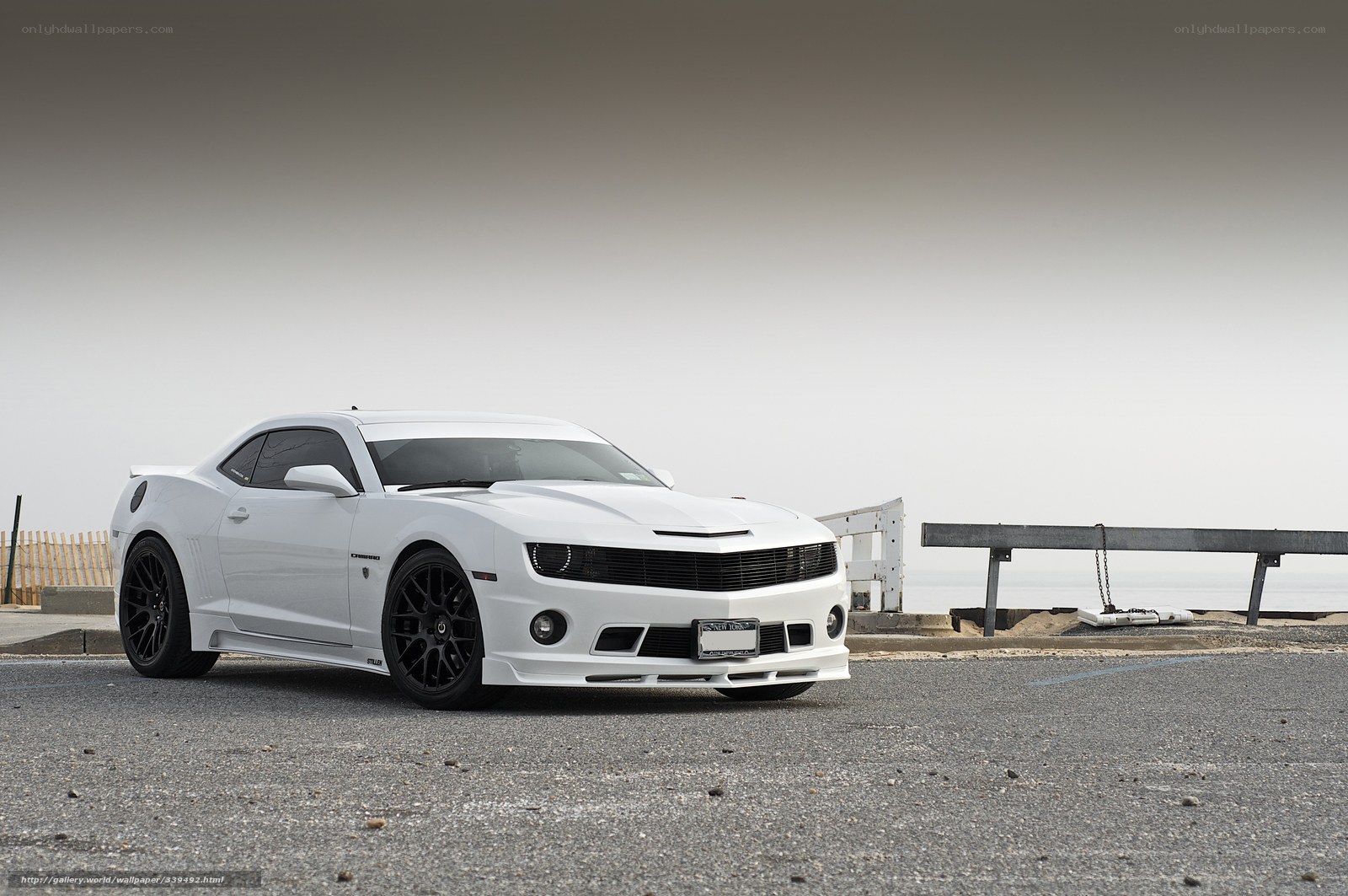 White Camaro on the coast