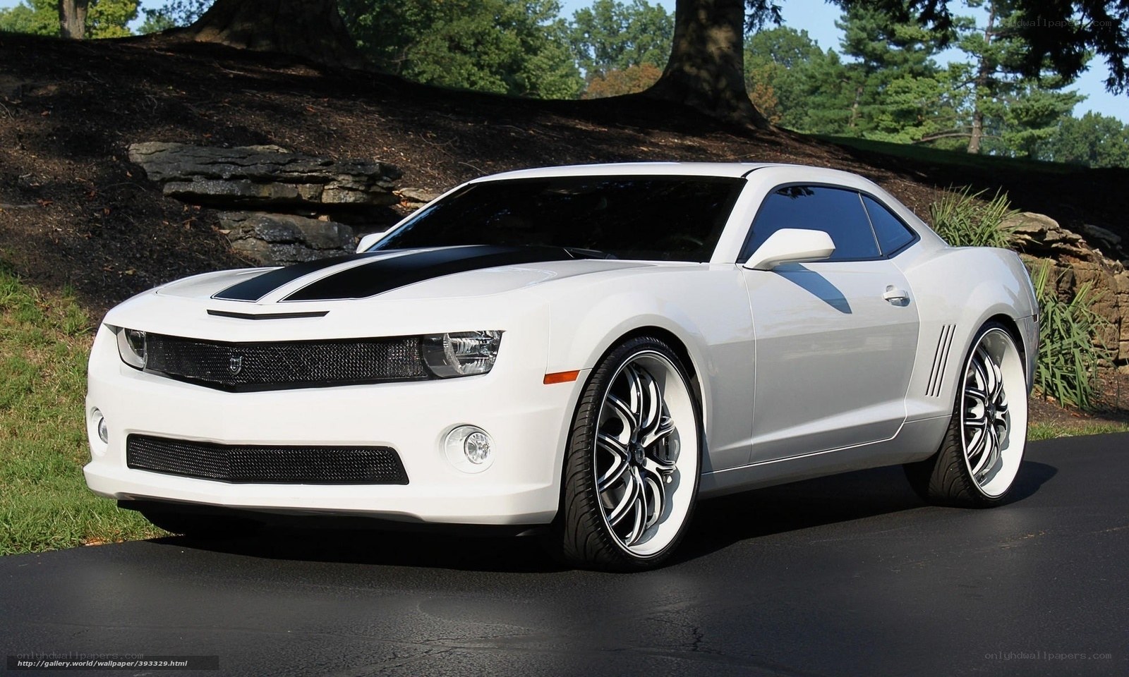 white camaro with black stripes