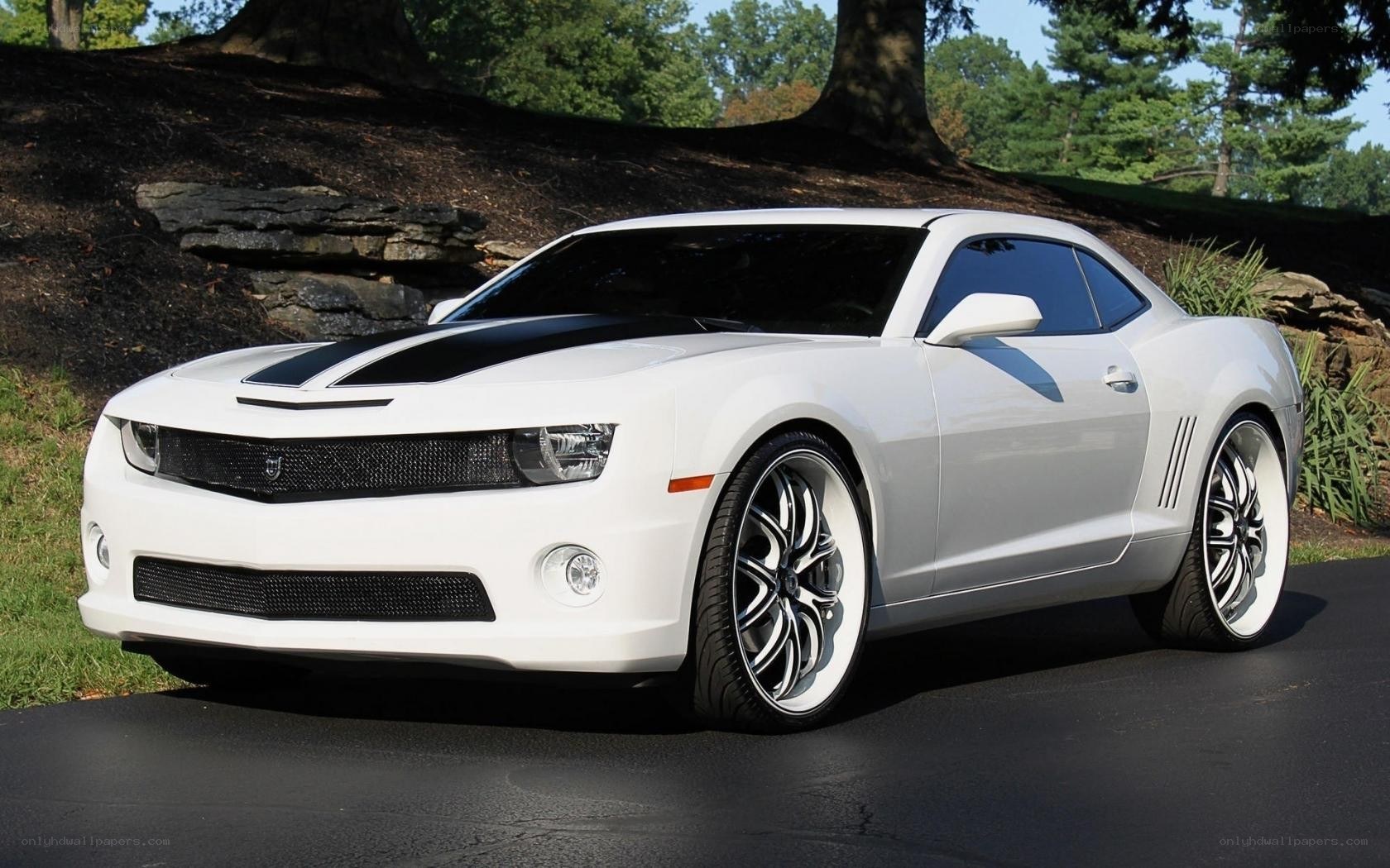 White Camaro with black stripes