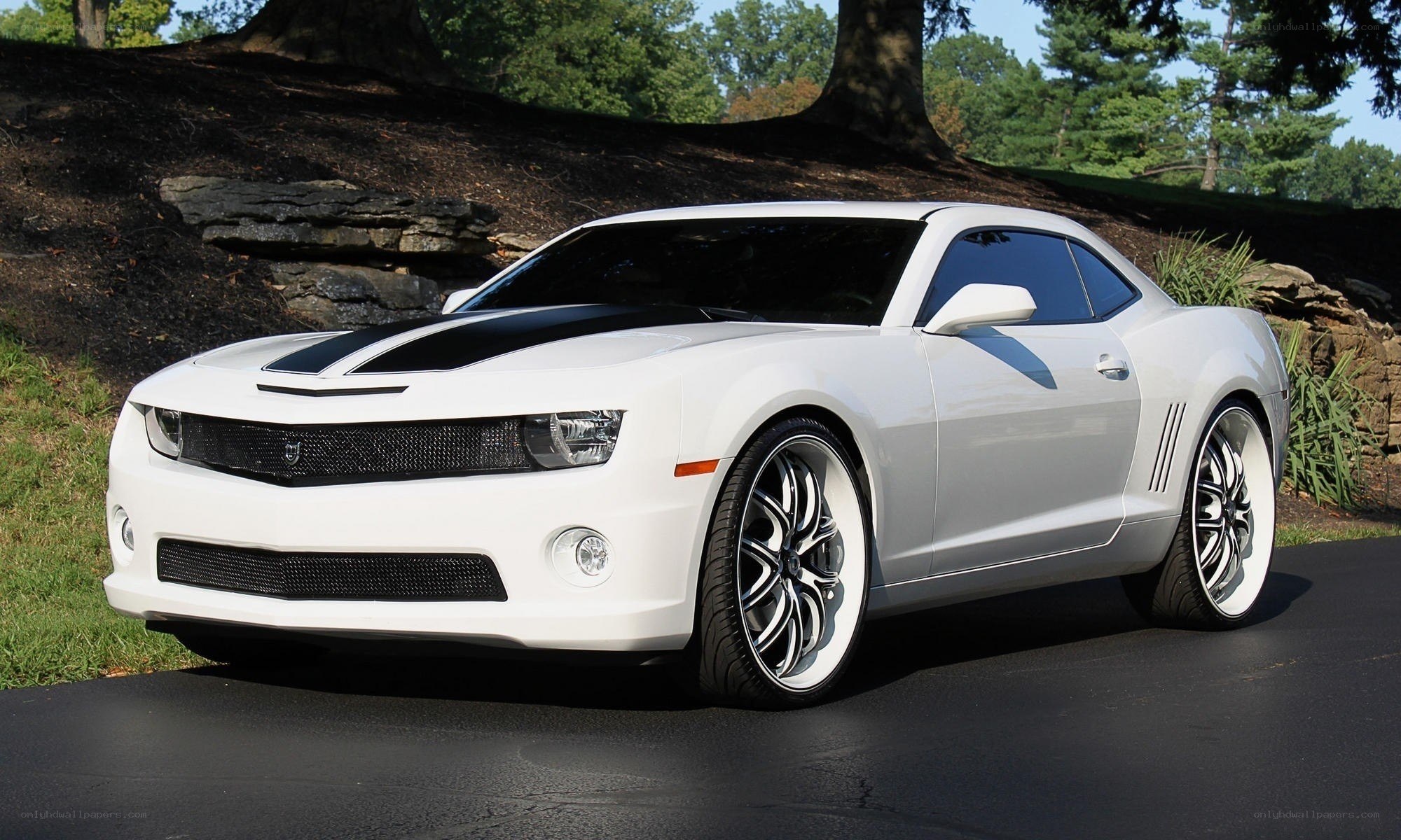White Camaro with black stripes