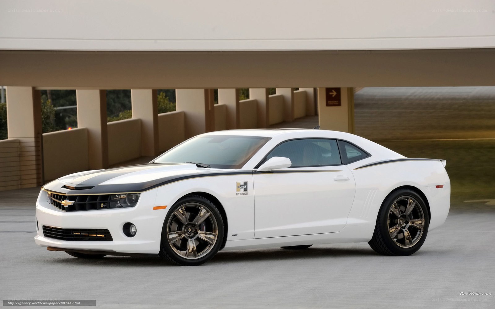 white camaro with black stripes