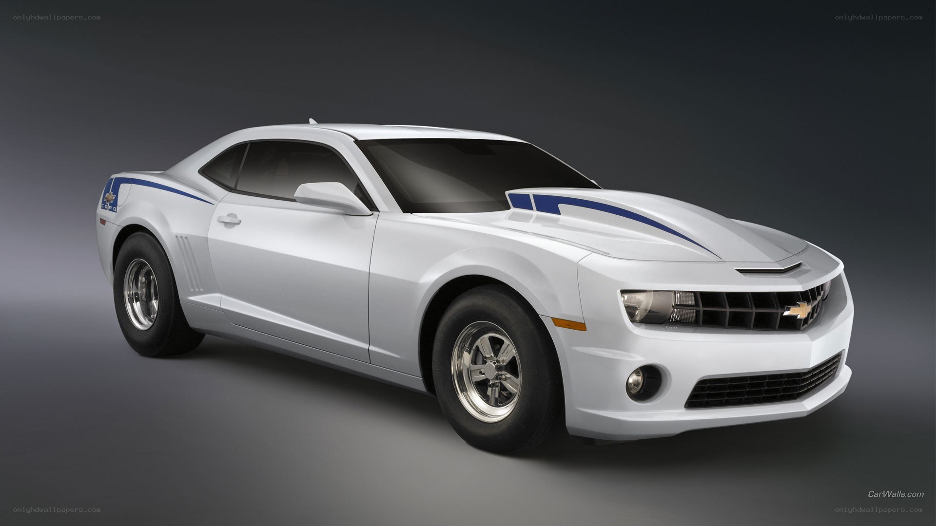 white camaro with blue stripes