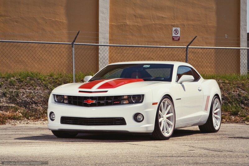 White Camaro with Red Stripes — Neutral