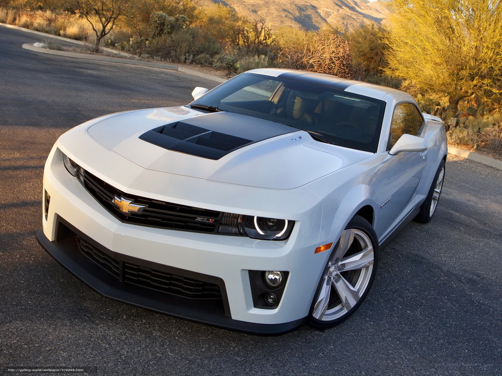 White Camaro ZL1 on desert road