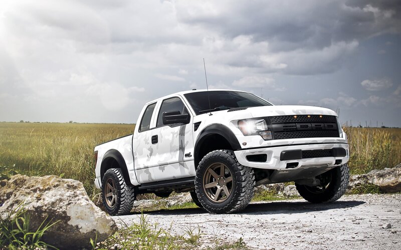 white camo truck in field