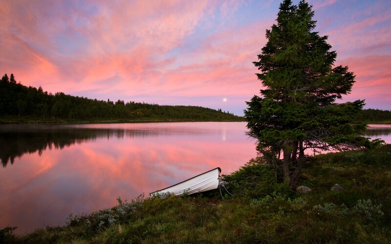 White Canoe on Shore