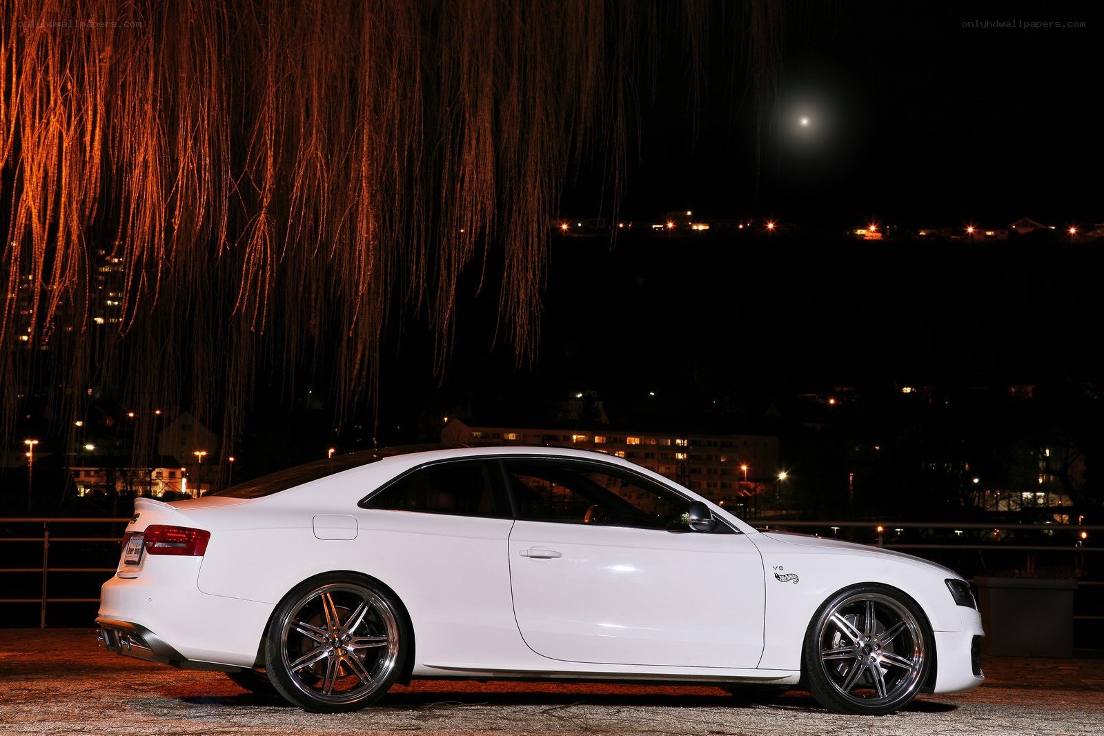White car at night under willow