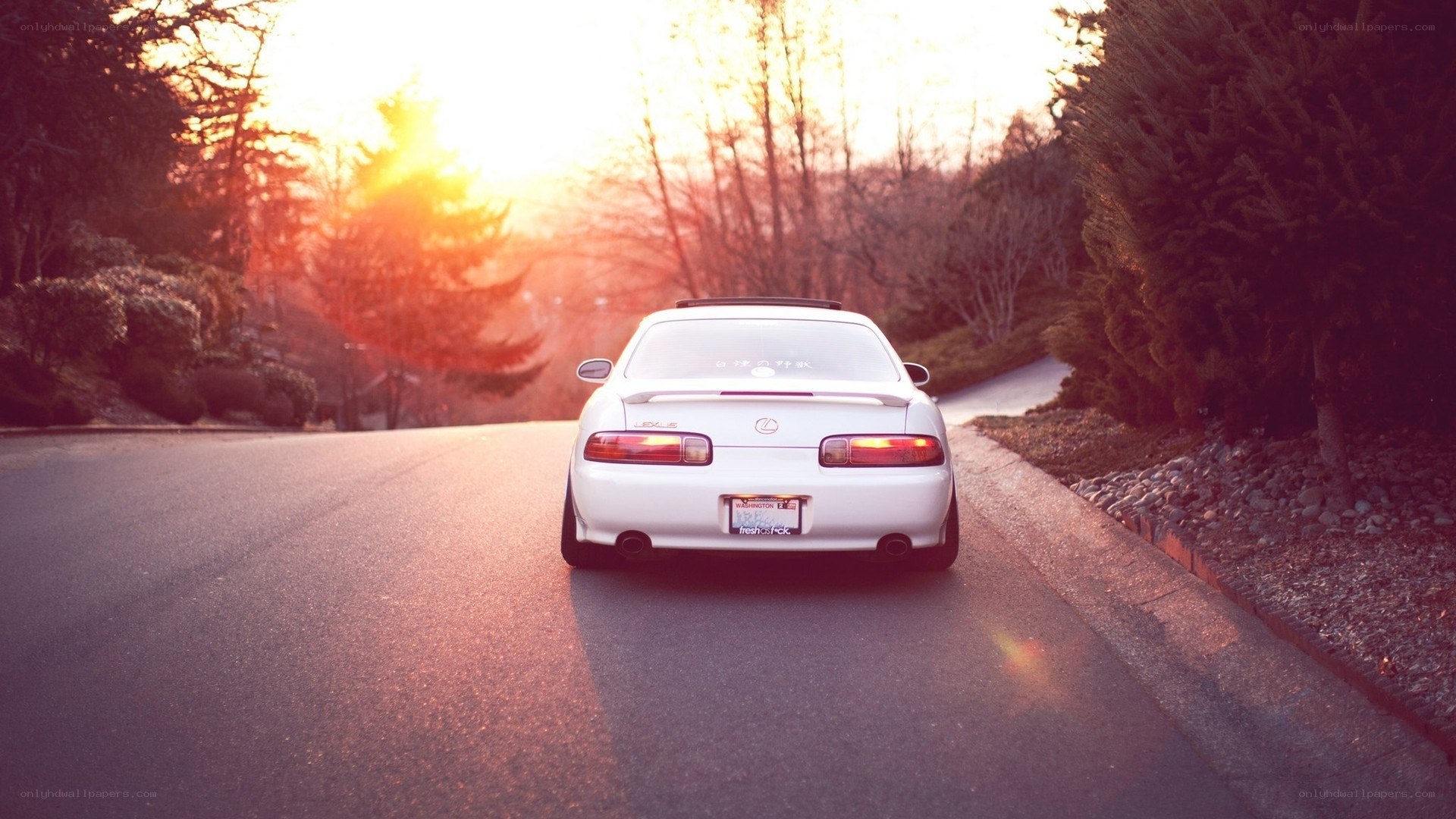 white car at sunset