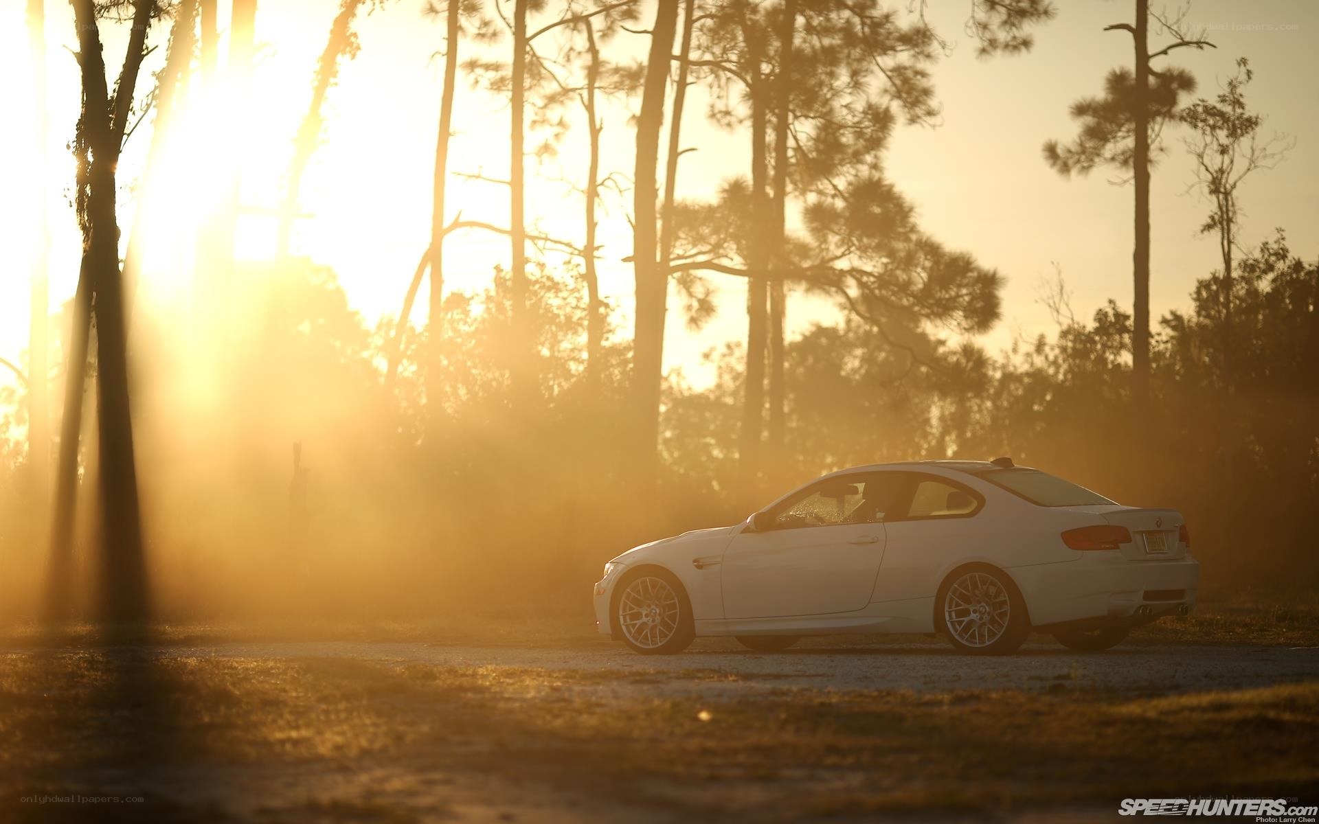 white car at sunset in forest