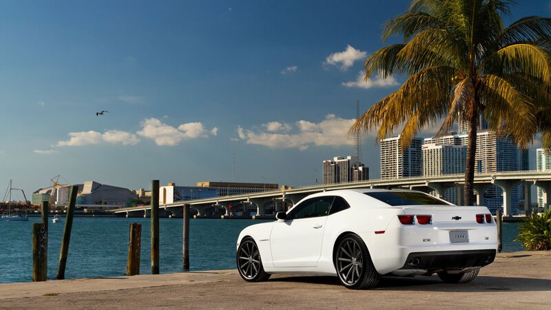 White car by the waterfront