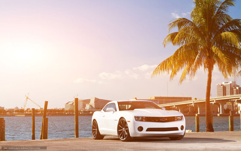 White car by the waterfront