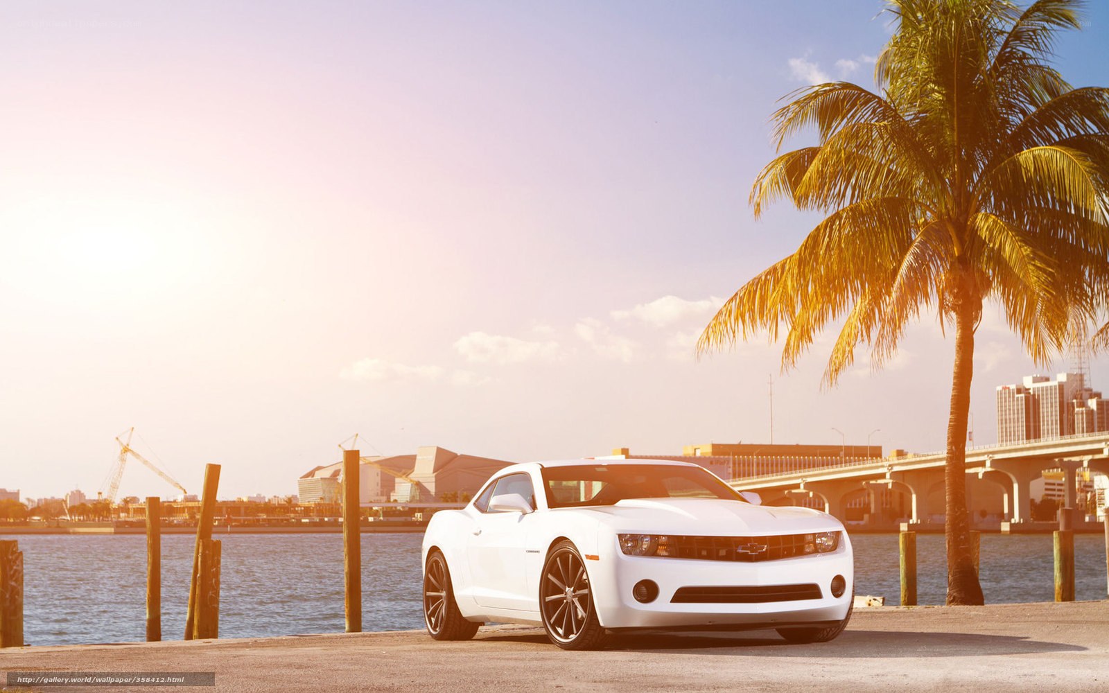 White car by the waterfront