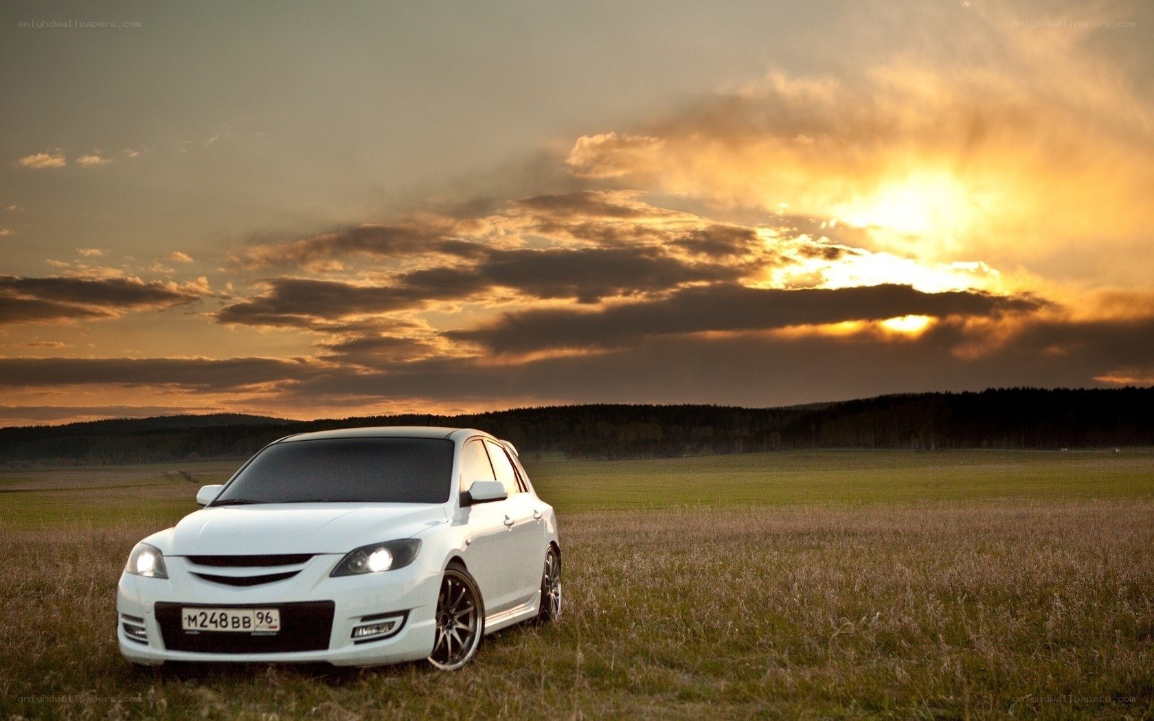 White car in a field at sunset