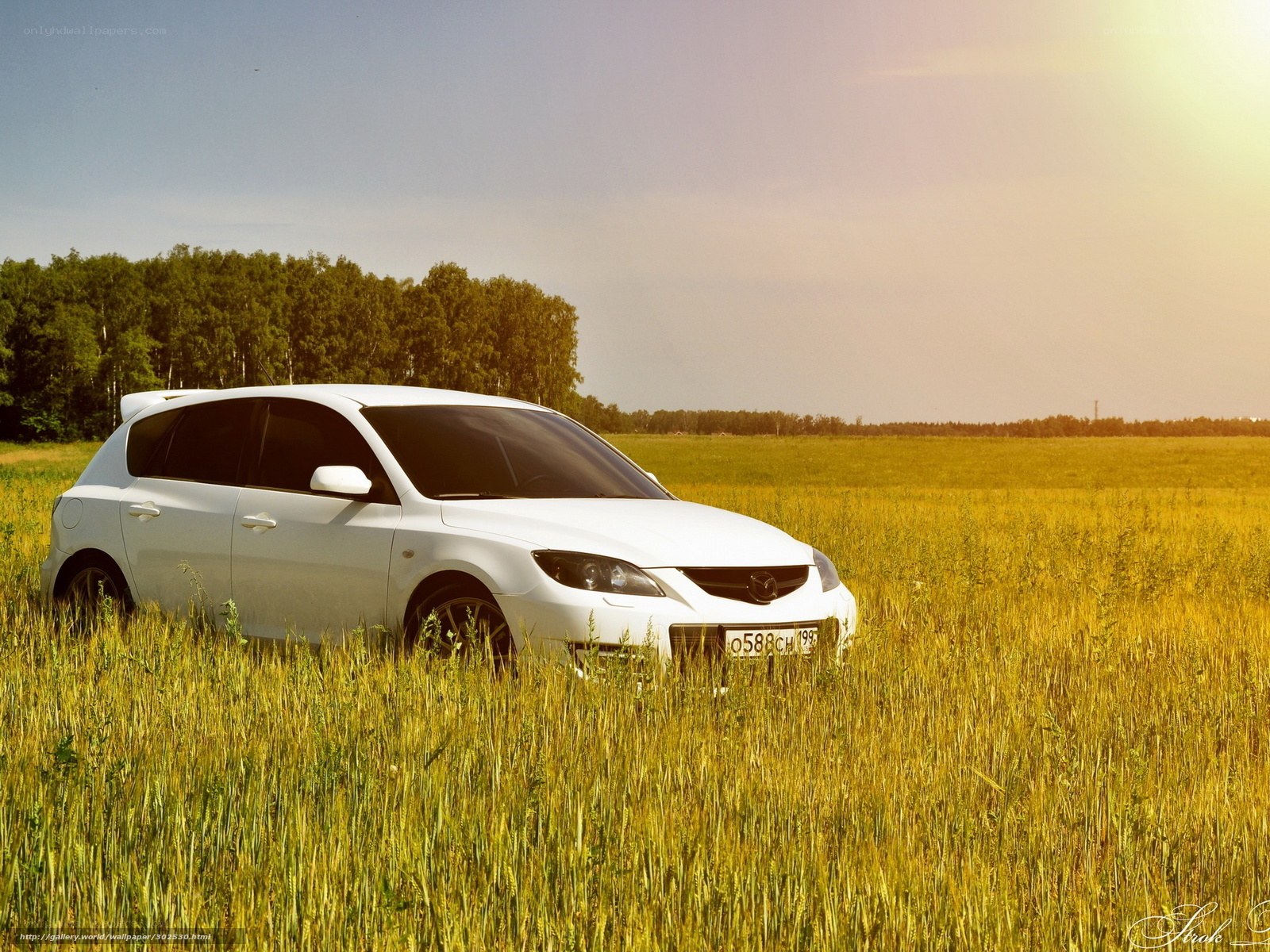 White car in a field