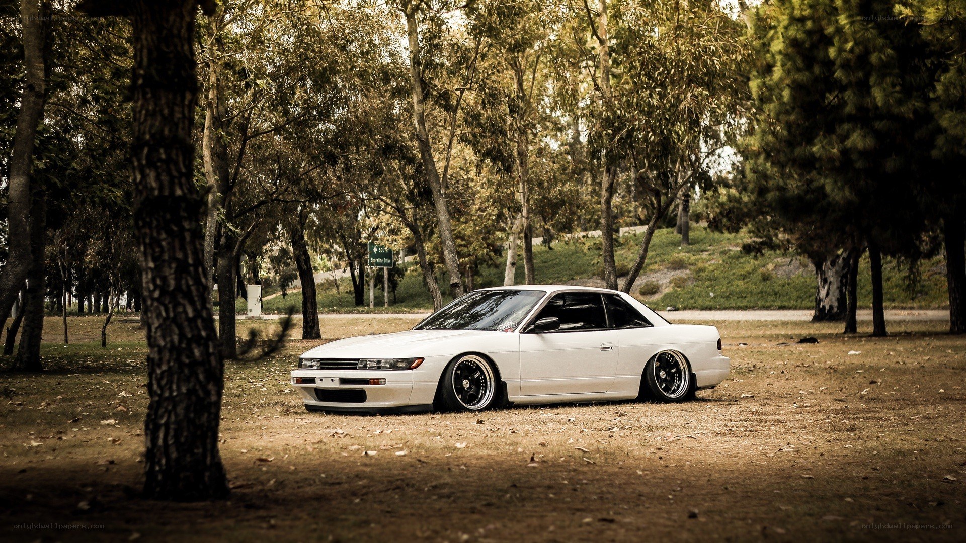 white car in a park