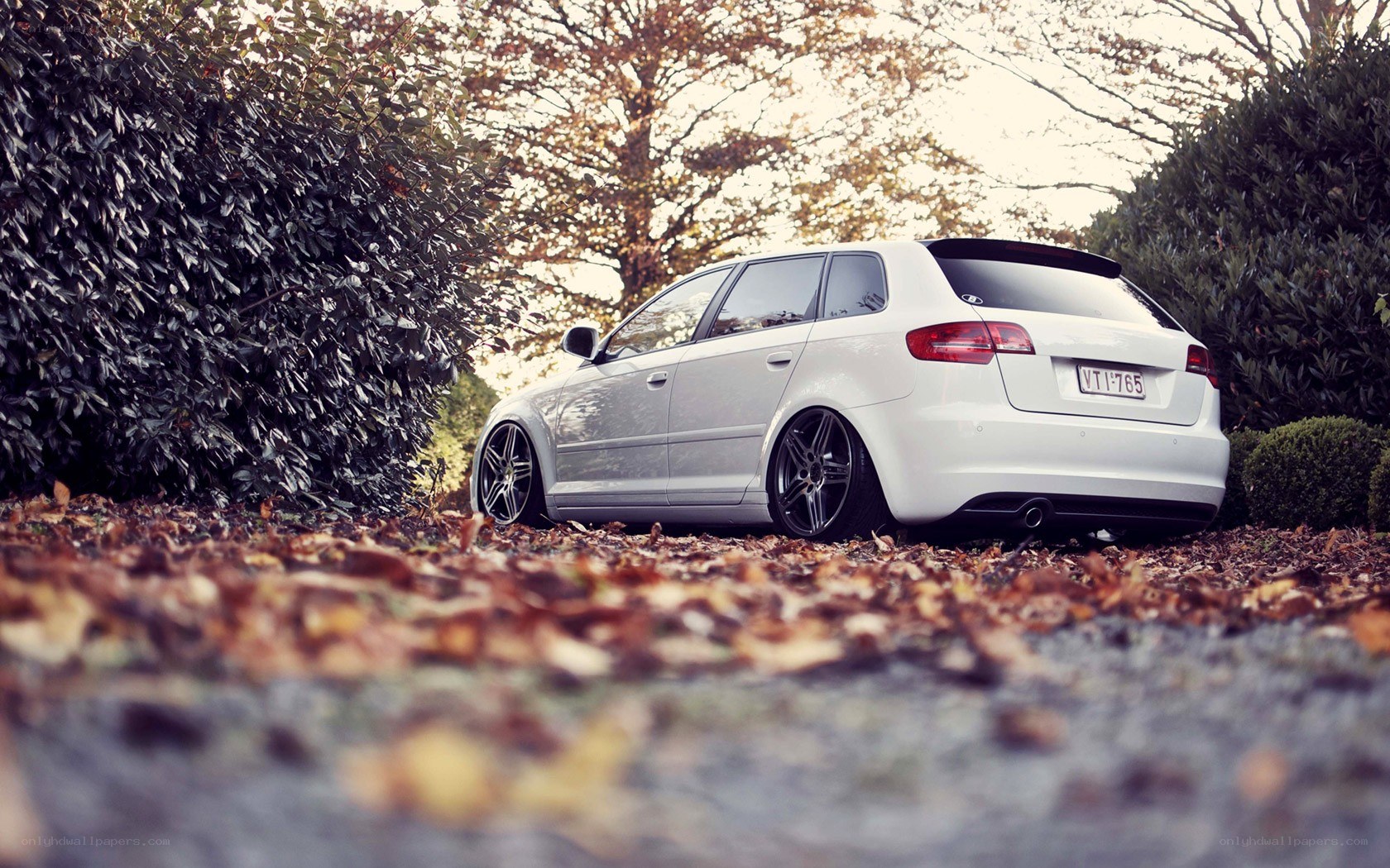 white car in autumn leaves