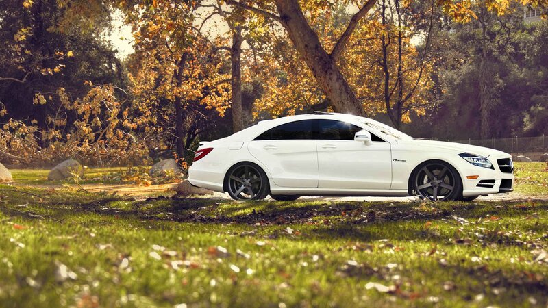 White car in autumn park