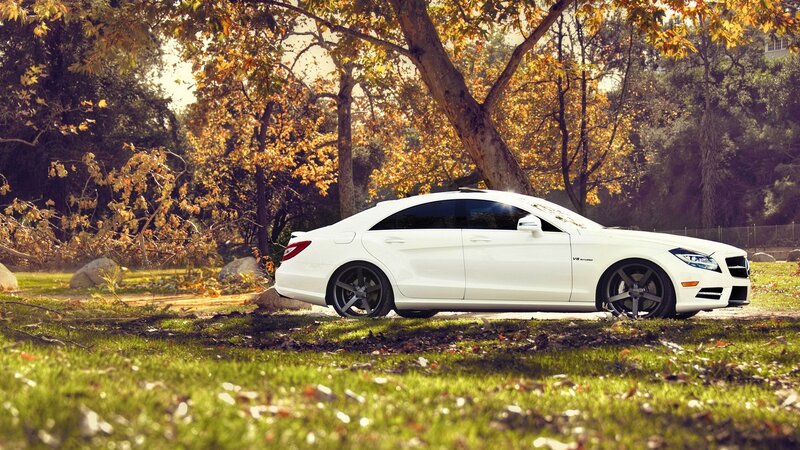 White car in autumn park