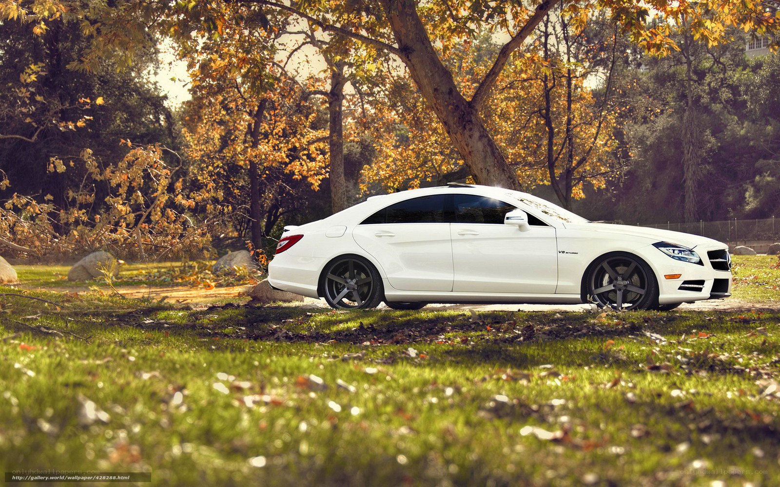 White car in autumn park
