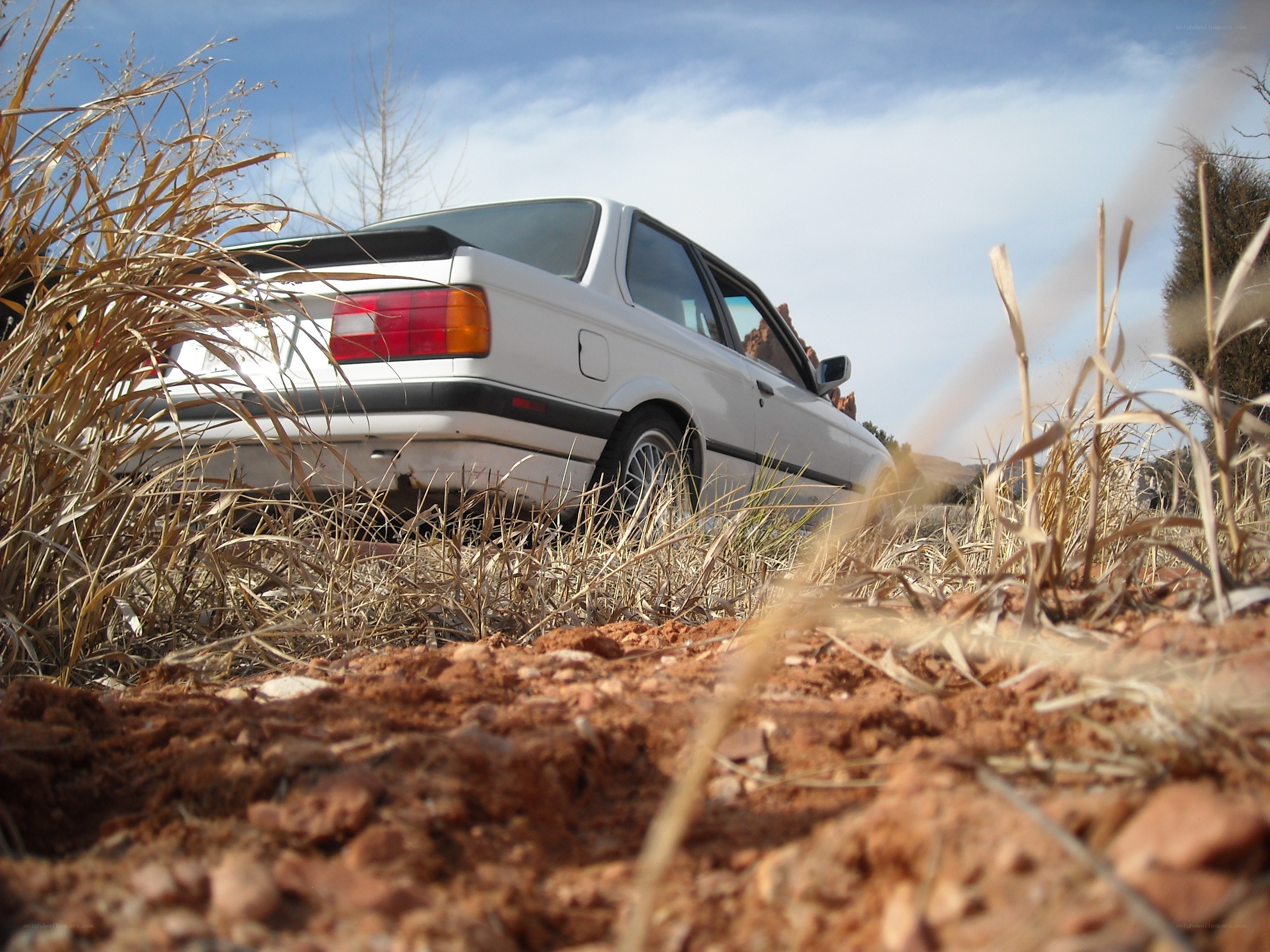 White car in dry grass