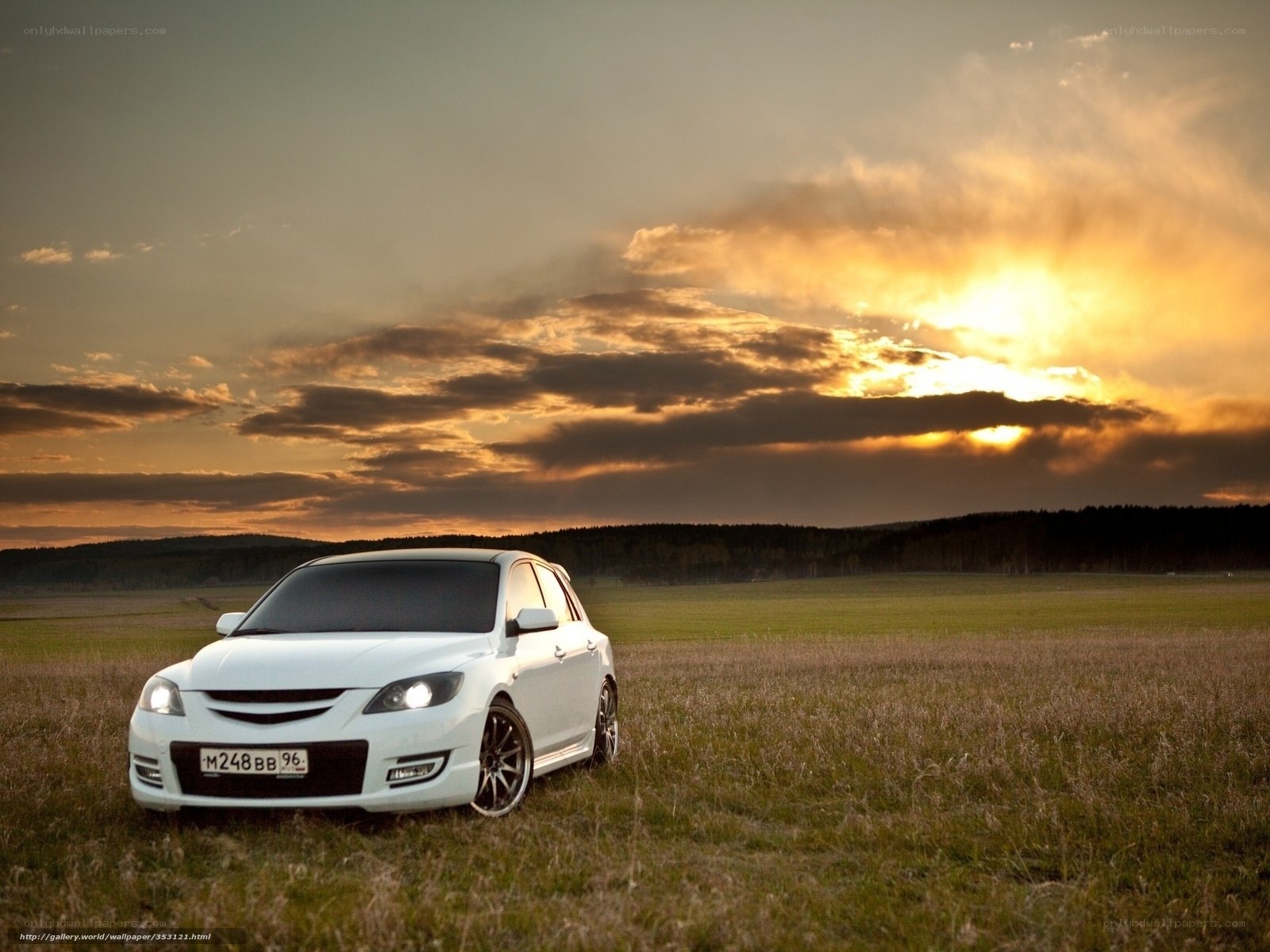 White car in field at sunset