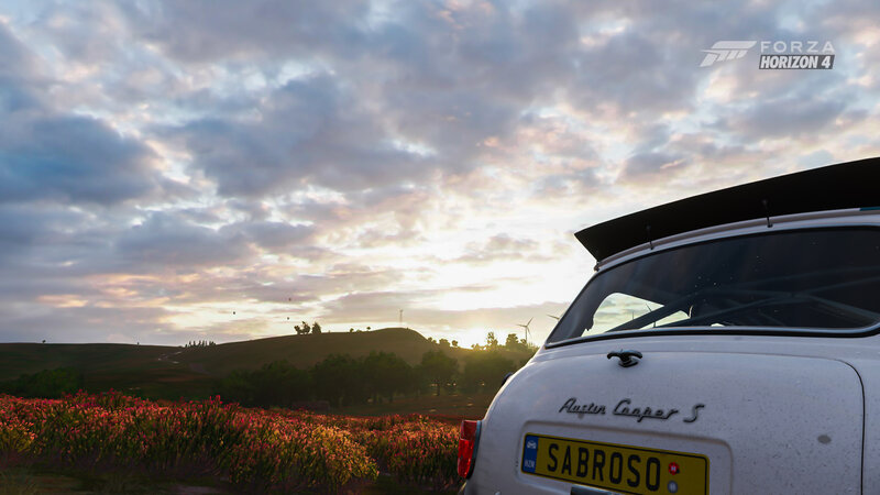 White Car in Field — Serene