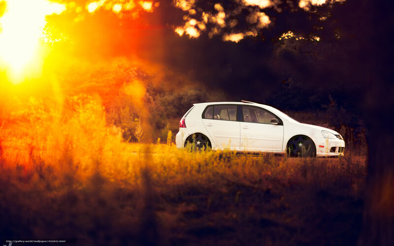 White Car in Field