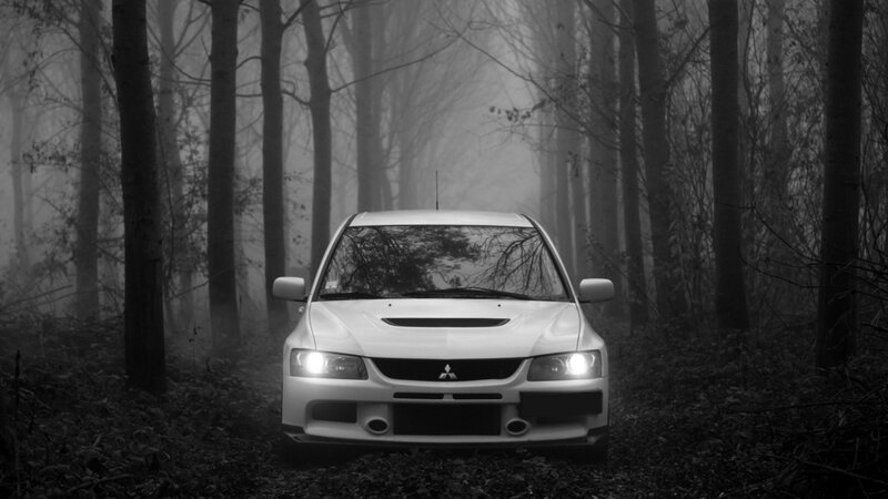 White car in foggy forest