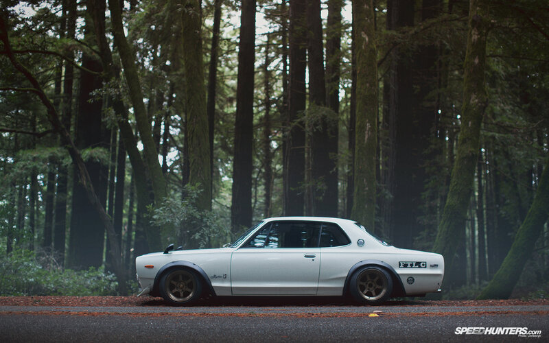 White car in forest