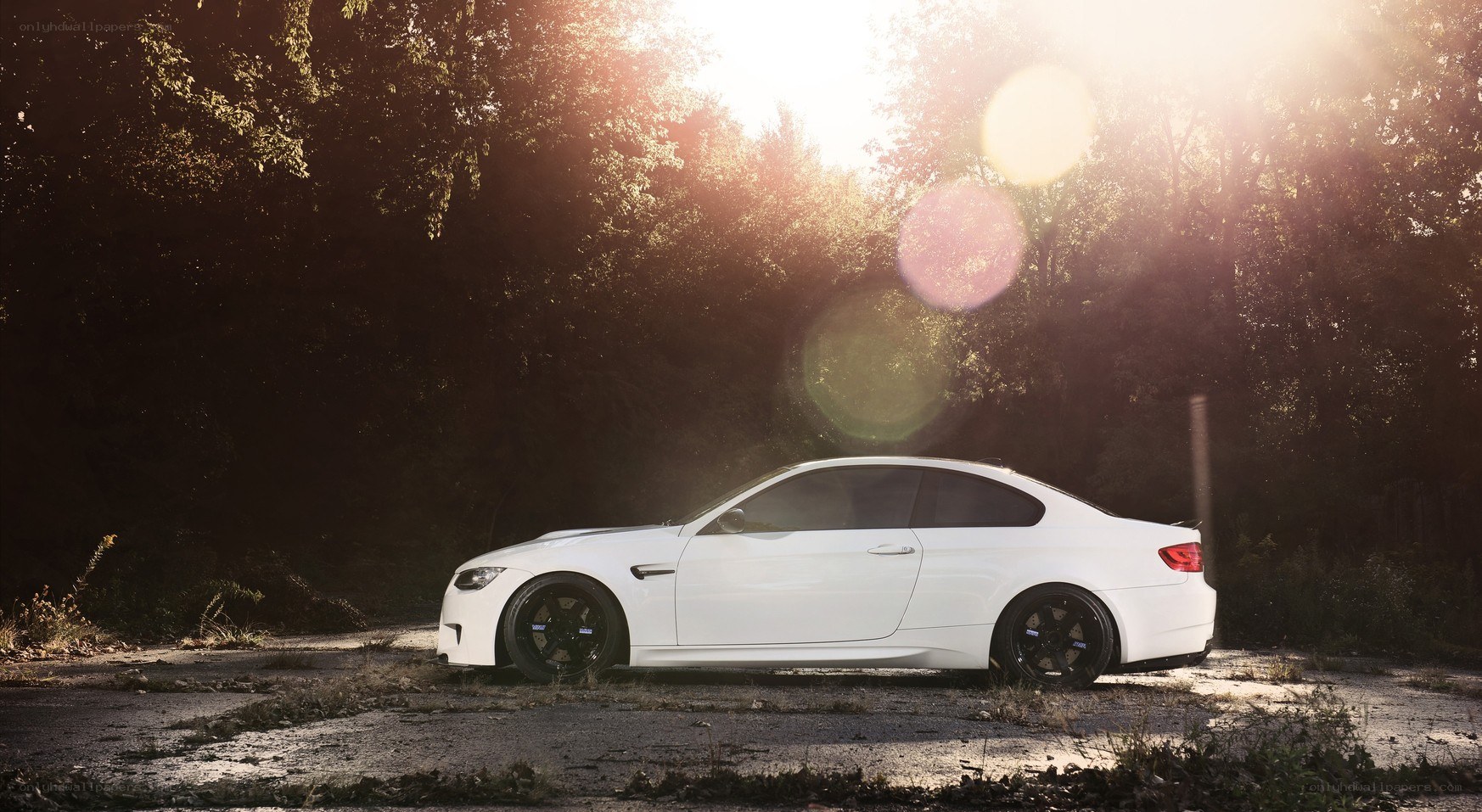 white car in forest at sunset