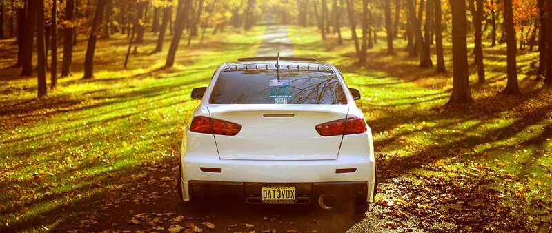 White Car in Forest — Green