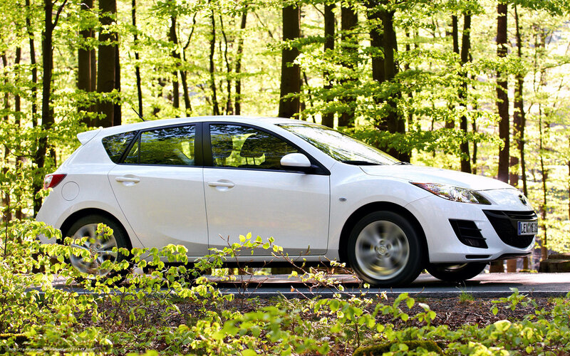 White car in forest