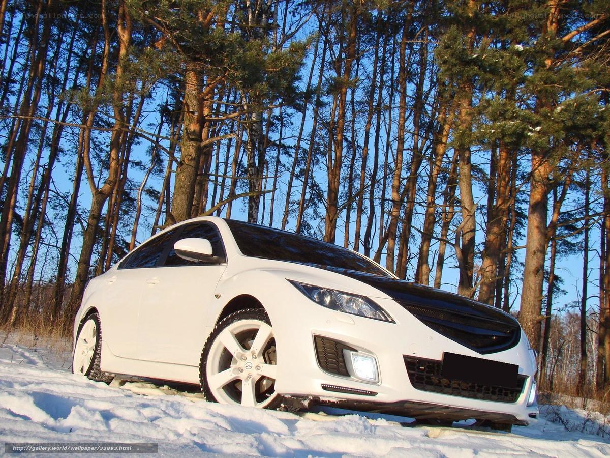 White car in snowy forest