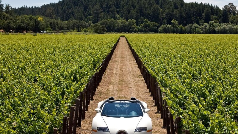 White car in vineyard