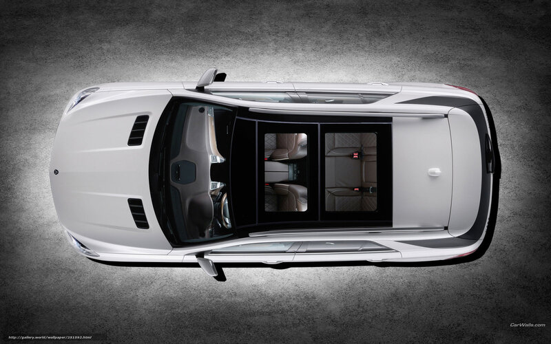 white car interior view