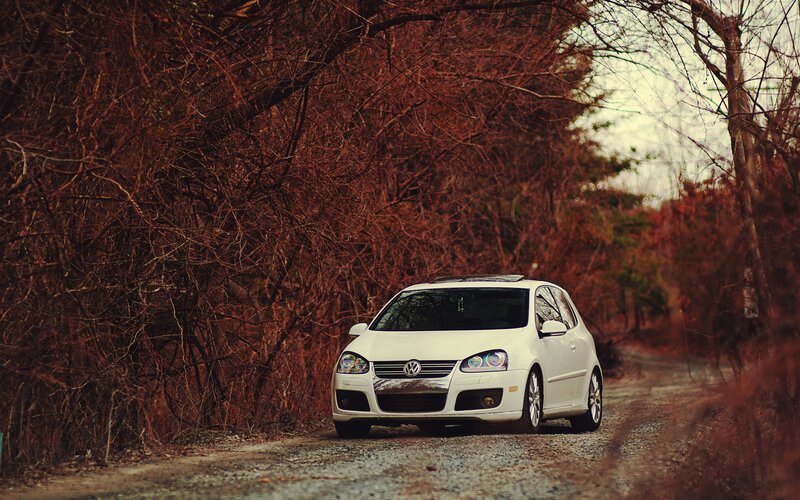 white car on a forest road