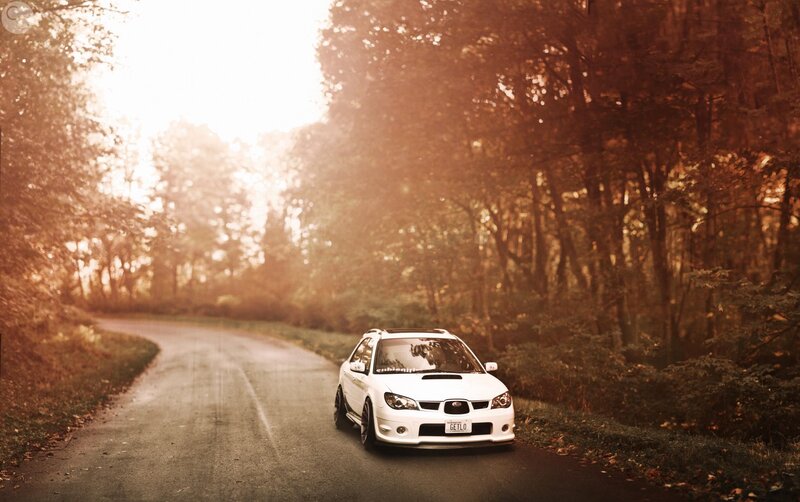 White car on a forest road