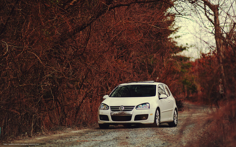 White car on a forest road