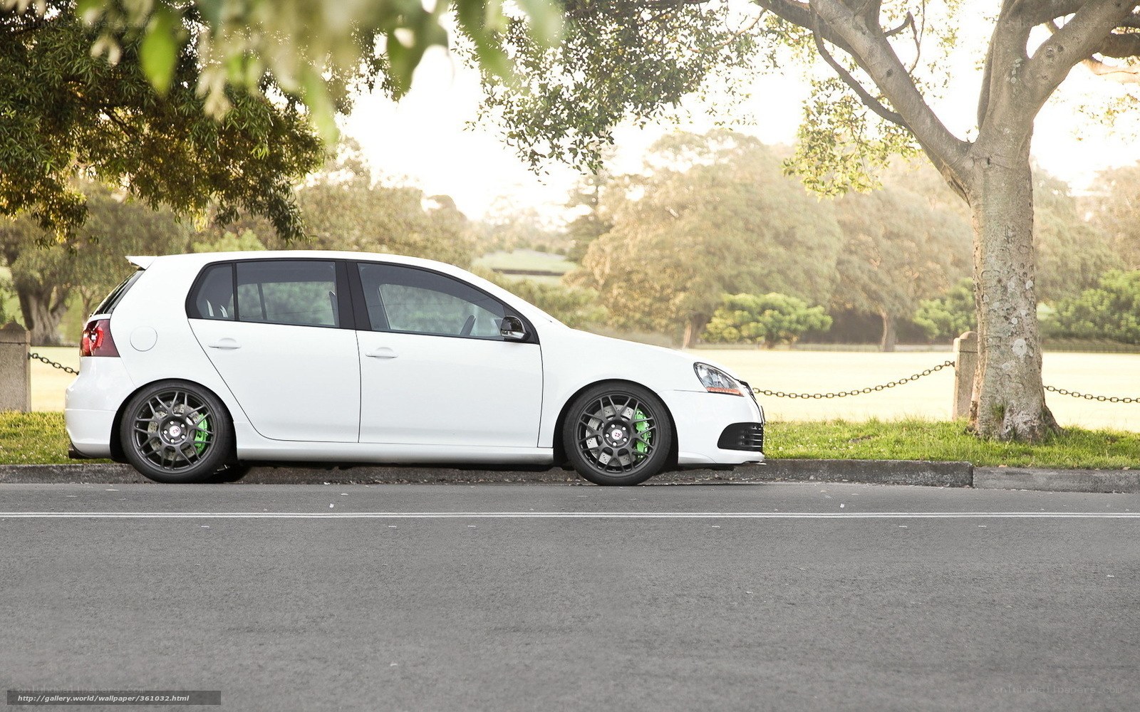 white car on a park road